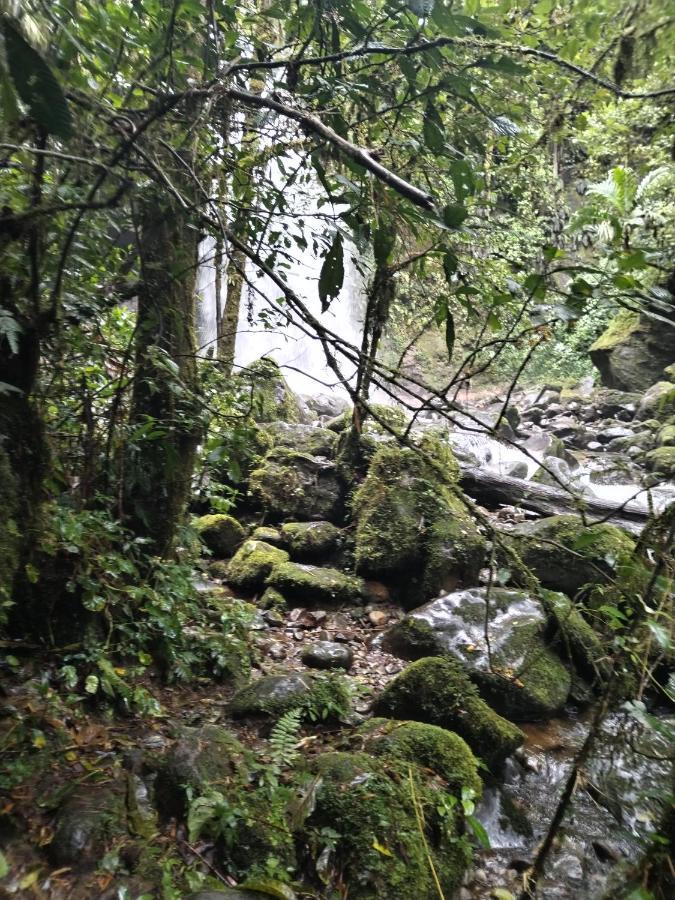 Вилла Campestre House Alto Boquete Экстерьер фото